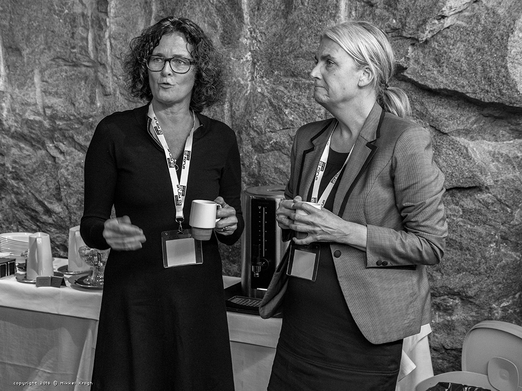 ntdf_keynote_gallery2018_014_1024_0768