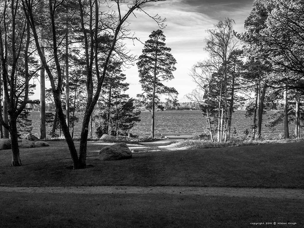 ntdf_keynote_gallery2018_034_1024_0768